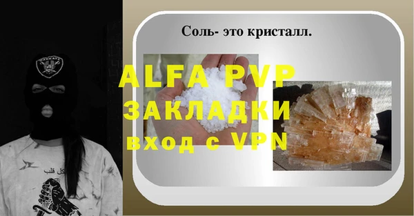 молекула духа Пересвет