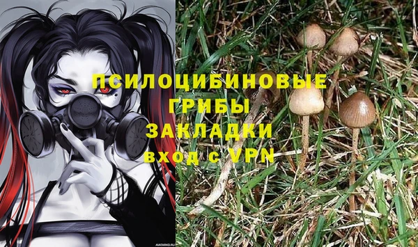 дживик Бронницы